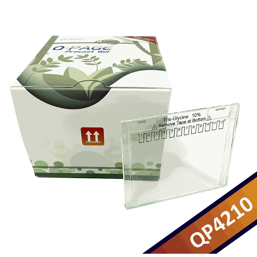 [QP4210] Q-PAGE™ TGN Precast Gel (Mini, 12 wells, 10%), 10 gels
