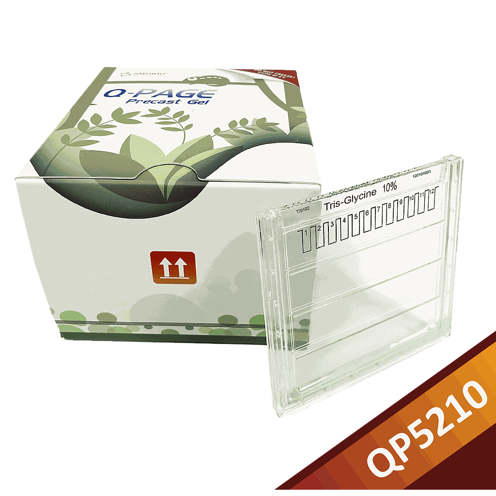 [QP5210] Q-PAGE™ TGN Precast Gel (Midi, 12 wells, 10%), 10 gels